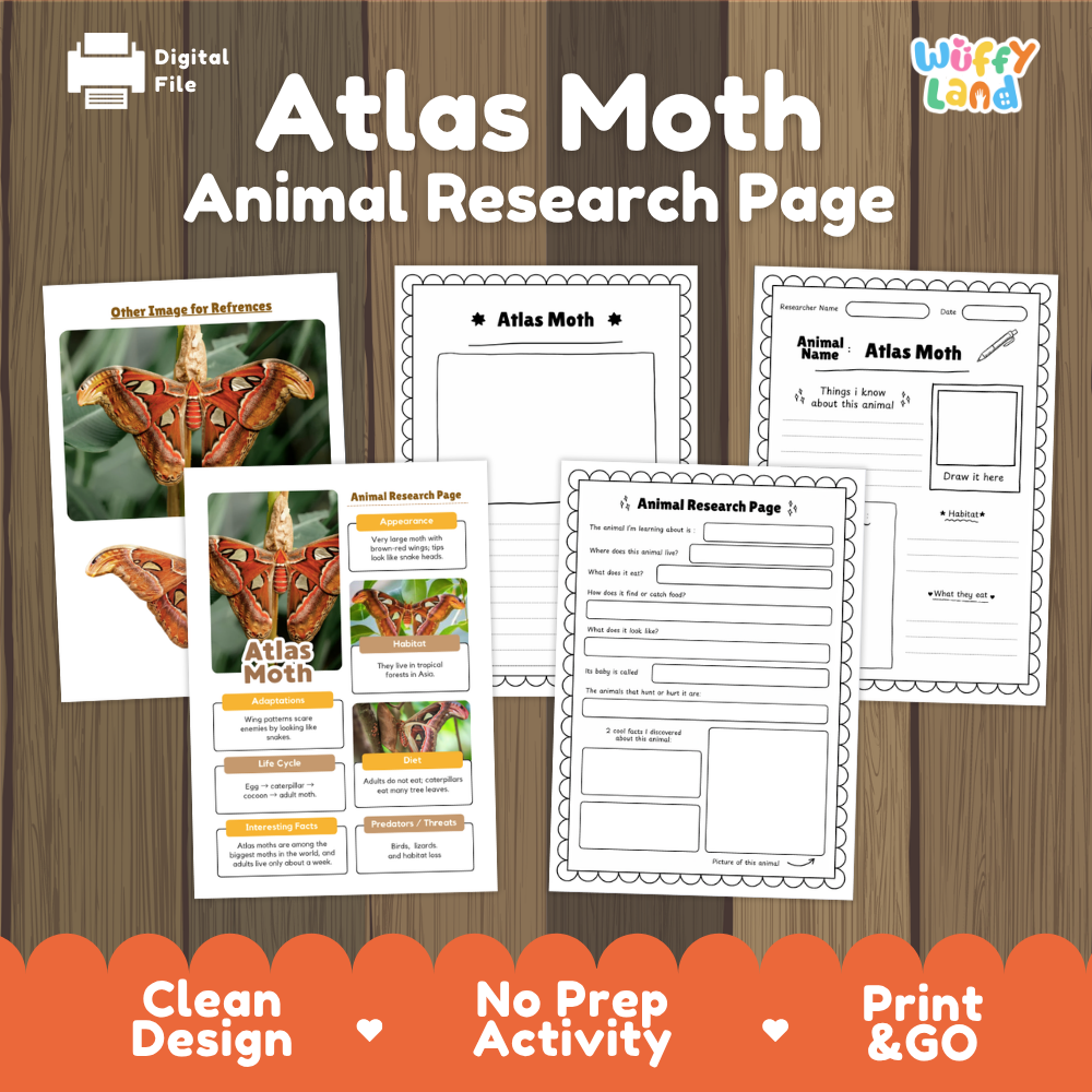 Atlas Moth Animal Research Page Worksheets