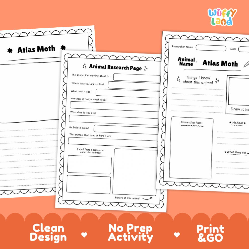 Atlas Moth Animal Research Page Worksheets