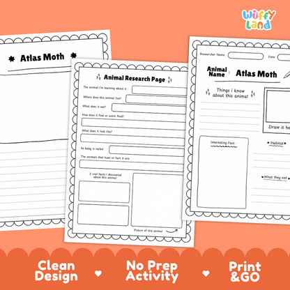 Atlas Moth Animal Research Page Worksheets
