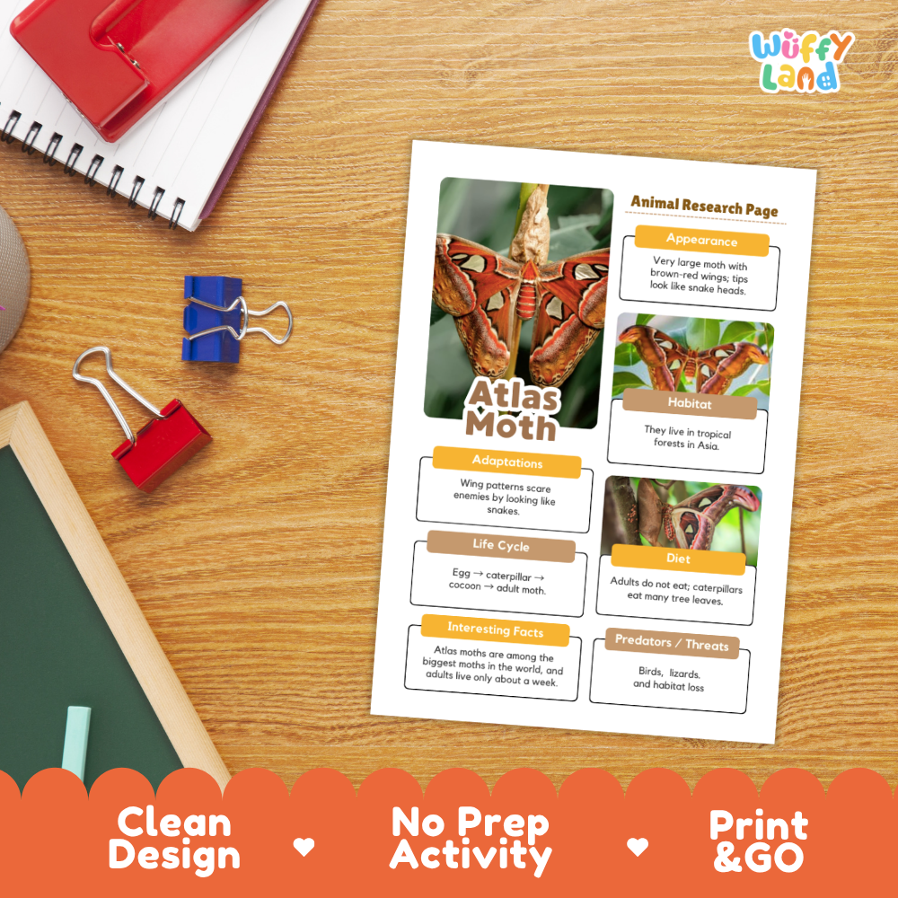 Atlas Moth Animal Research Page Worksheets