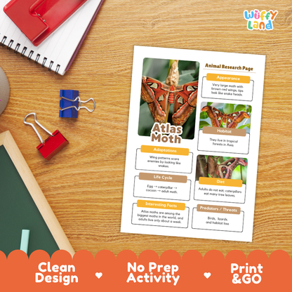 Atlas Moth Animal Research Page Worksheets