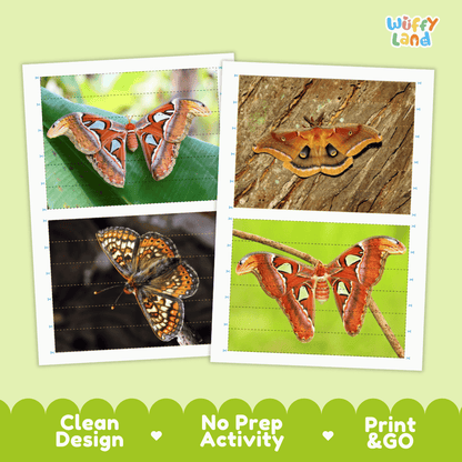 Atlas Moth Cut and Match Activity Worksheets