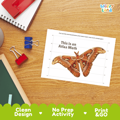 Atlas Moth Cut and Match Activity Worksheets
