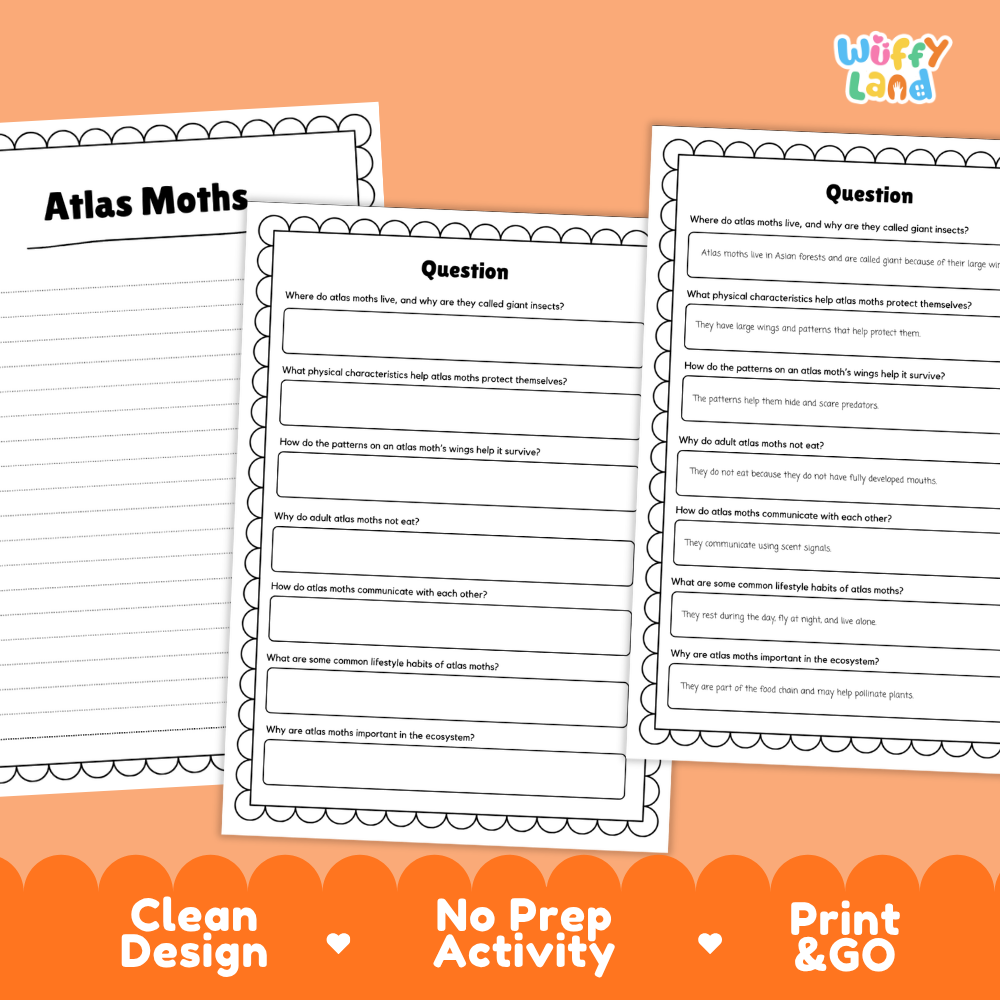 Three printable worksheet pages about atlas moths on a peach background, with a 'Wiffly Land' logo in the top right and orange banner text reading 'Clean Design', 'No Prep Activity', and 'Print & GO' at the bottom.