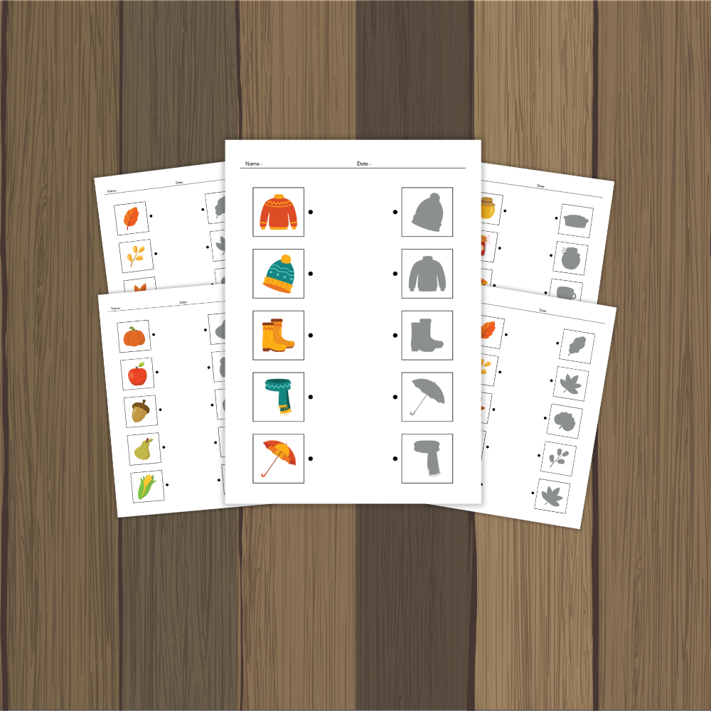 Fall harvest shadow matching printable pages showing pumpkin apple acorn pear and leaves matching to corresponding shadows