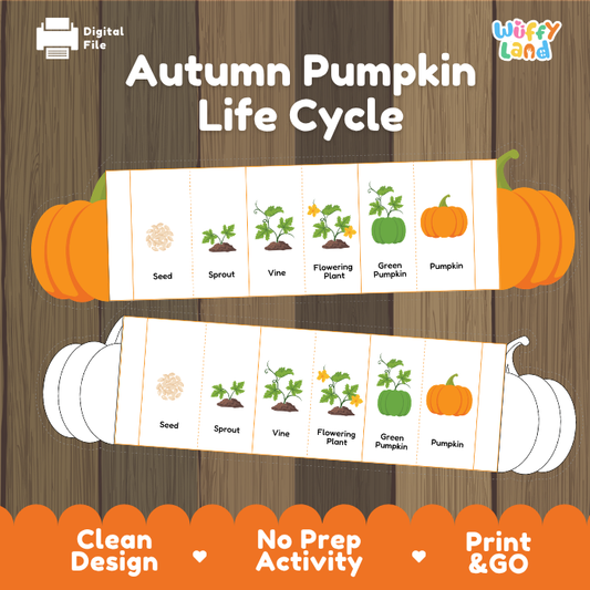 Autumn pumpkin life cycle folding card printable science and craft activity pack overview from Wuffy Land 🎃🌱