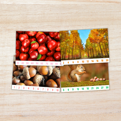 Educational printable set titled “Skip Counting Puzzles” featuring an autumn theme with real pictures. The puzzles include images of apples, acorns, squirrels, and colorful fall trees. Each strip is numbered for skip counting by 2, 3, 4, 5, 6, 7, 8, 9, and 10. The text highlights “Autumn Theme with Real Picture” and “10 Images,” designed for hands-on math practice and seasonal learning fun.