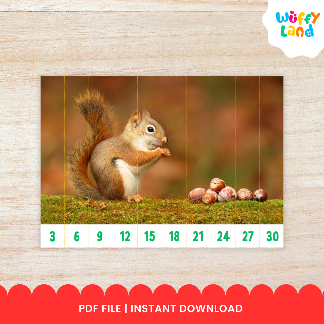 Educational printable set titled “Skip Counting Puzzles” featuring an autumn theme with real pictures. The puzzles include images of apples, acorns, squirrels, and colorful fall trees. Each strip is numbered for skip counting by 2, 3, 4, 5, 6, 7, 8, 9, and 10. The text highlights “Autumn Theme with Real Picture” and “10 Images,” designed for hands-on math practice and seasonal learning fun.