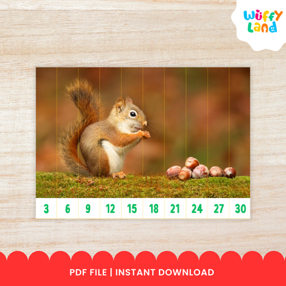 Educational printable set titled “Skip Counting Puzzles” featuring an autumn theme with real pictures. The puzzles include images of apples, acorns, squirrels, and colorful fall trees. Each strip is numbered for skip counting by 2, 3, 4, 5, 6, 7, 8, 9, and 10. The text highlights “Autumn Theme with Real Picture” and “10 Images,” designed for hands-on math practice and seasonal learning fun.