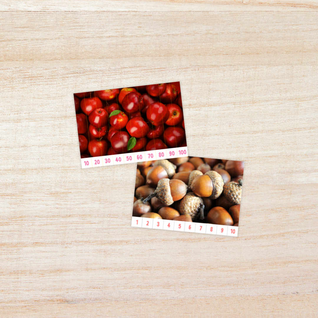 Educational printable set titled “Skip Counting Puzzles” featuring an autumn theme with real pictures. The puzzles include images of apples, acorns, squirrels, and colorful fall trees. Each strip is numbered for skip counting by 2, 3, 4, 5, 6, 7, 8, 9, and 10. The text highlights “Autumn Theme with Real Picture” and “10 Images,” designed for hands-on math practice and seasonal learning fun.