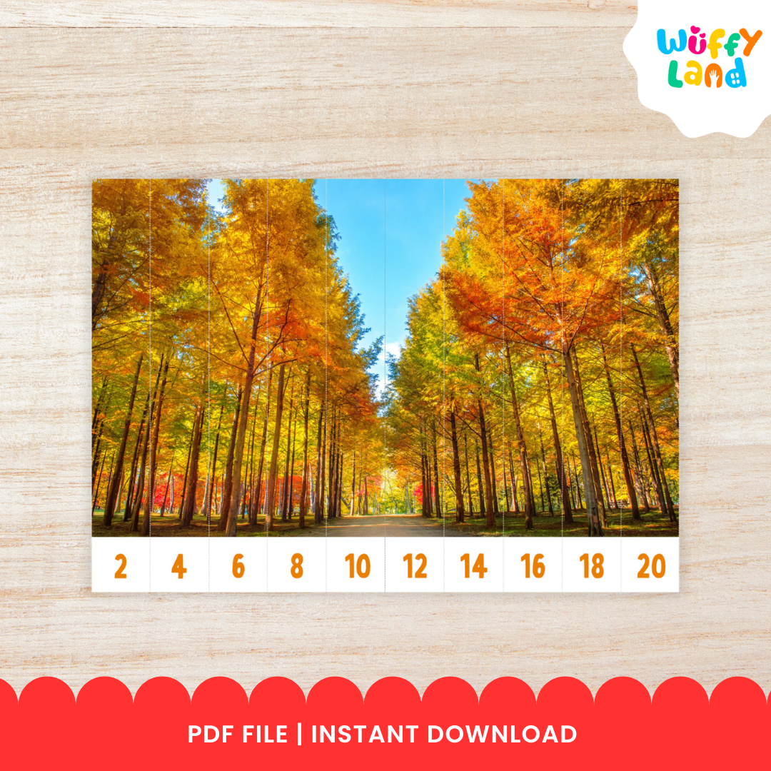 Educational printable set titled “Skip Counting Puzzles” featuring an autumn theme with real pictures. The puzzles include images of apples, acorns, squirrels, and colorful fall trees. Each strip is numbered for skip counting by 2, 3, 4, 5, 6, 7, 8, 9, and 10. The text highlights “Autumn Theme with Real Picture” and “10 Images,” designed for hands-on math practice and seasonal learning fun.
