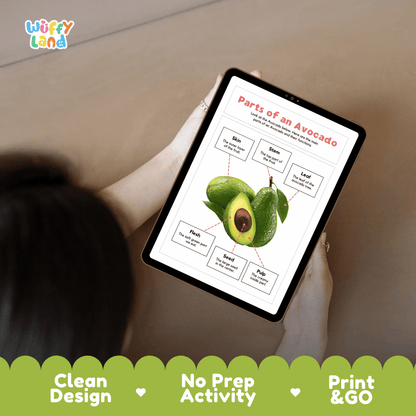 Educational cut and paste avocado fruit anatomy worksheet with printable word cutout tiles for skin, flesh, seed, pulp, stem, and leaf