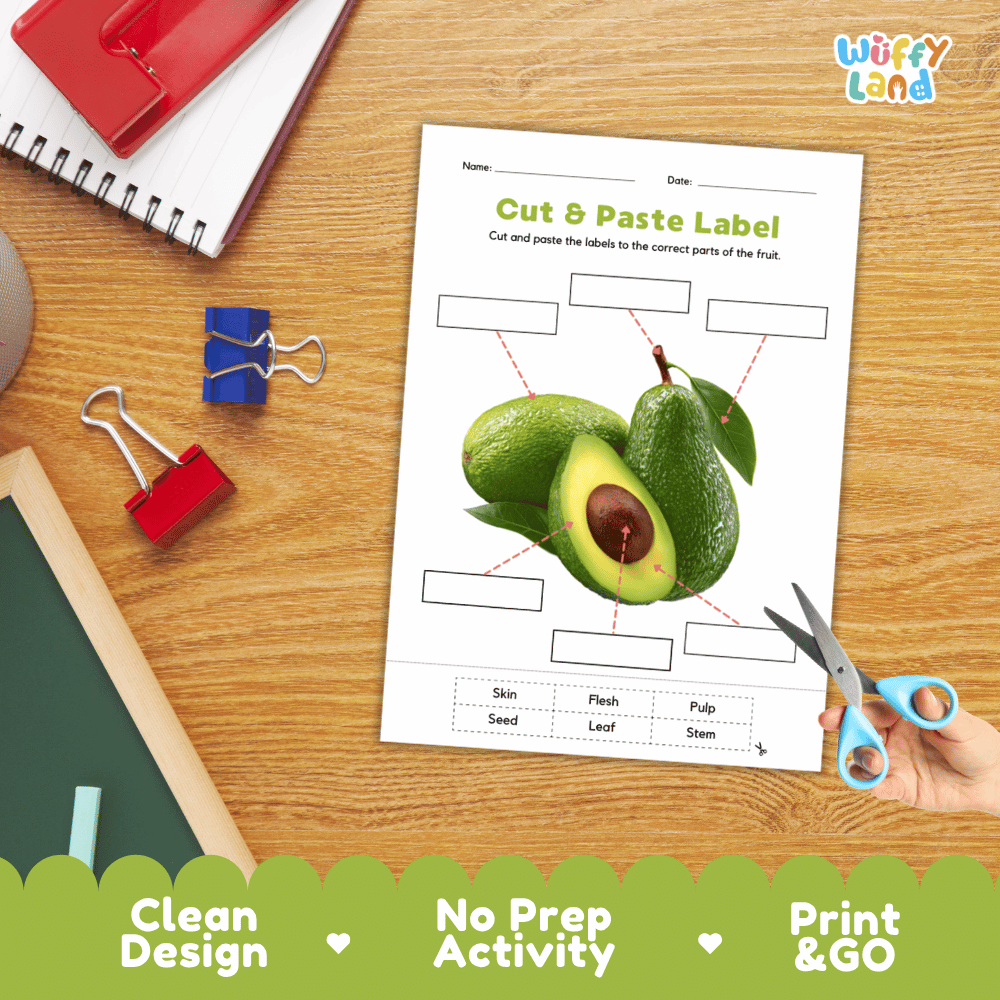 Printable plant biology worksheet showing a realistic sliced avocado with blank labeling boxes and a vocabulary word bank for writing practice
