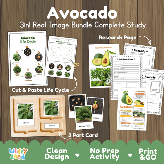 Avocado tree life cycle 3in1 real image bundle complete study overview featuring cut and paste worksheets, Montessori 3-part cards, and research pages from Wuffy Land 🥑🌱