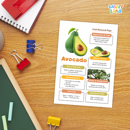 A printed fruit research page about avocado lies on a wooden desk, surrounded by school supplies including a spiral notebook, binder clips, chalk, and a green board. The page shows colorful text boxes, an avocado photo, and headings like Appearance, Uses of This Fruit, Where It Grows, Water & Temperature, Life Cycle, and Nutritional Value.