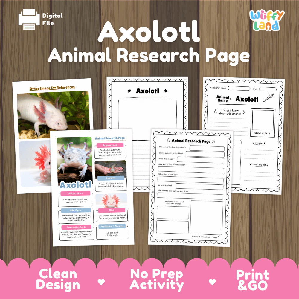 Axolotl Animal Research Page Worksheets