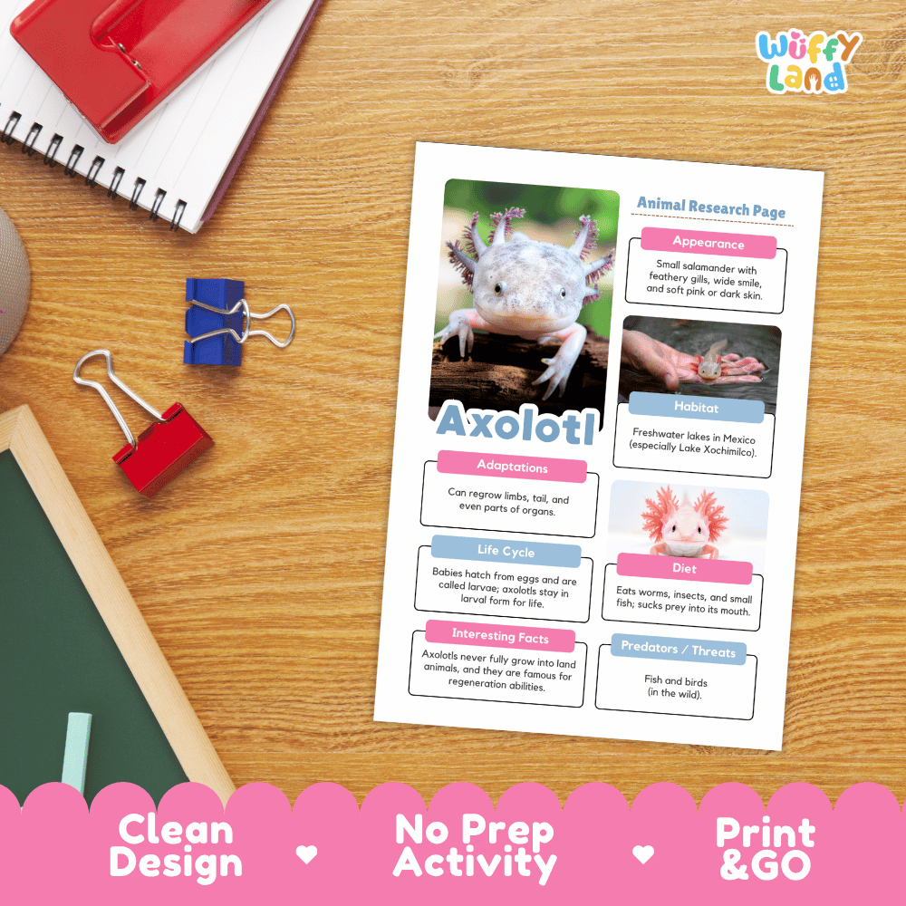Axolotl Animal Research Page Worksheets