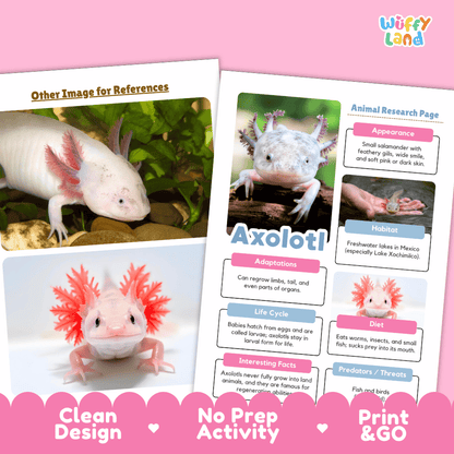 Axolotl Animal Research Page Worksheets