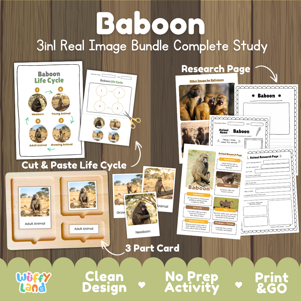 Baboon 3-in-1 real image bundle complete study cover showing cut and paste life cycle, 3 part cards, and research pages