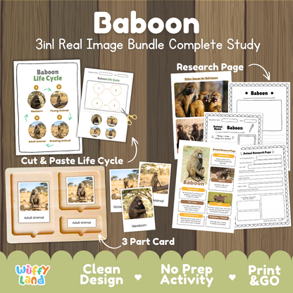 Baboon 3-in-1 real image bundle complete study cover showing cut and paste life cycle, 3 part cards, and research pages