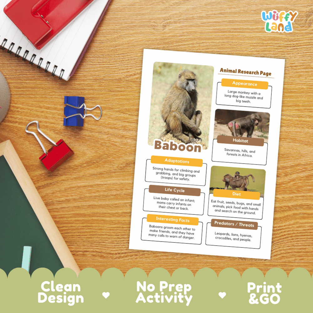 Baboon Animal Research Page Graphic Organizers and Worksheets