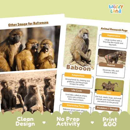Baboon Animal Research Page Graphic Organizers and Worksheets