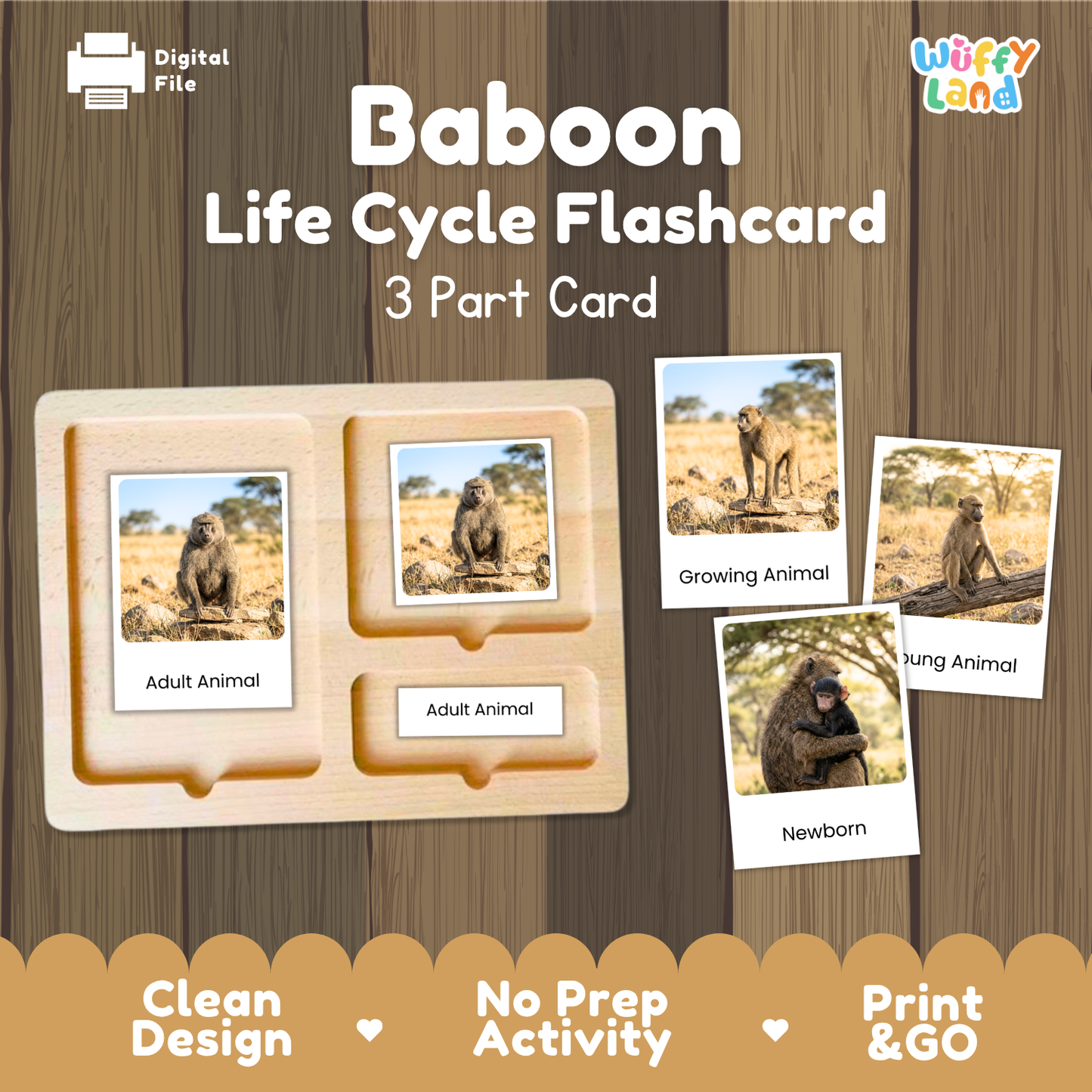 Baboon Life Cycle Flashcards | Montessori 3 Part Cards Mammal Activity