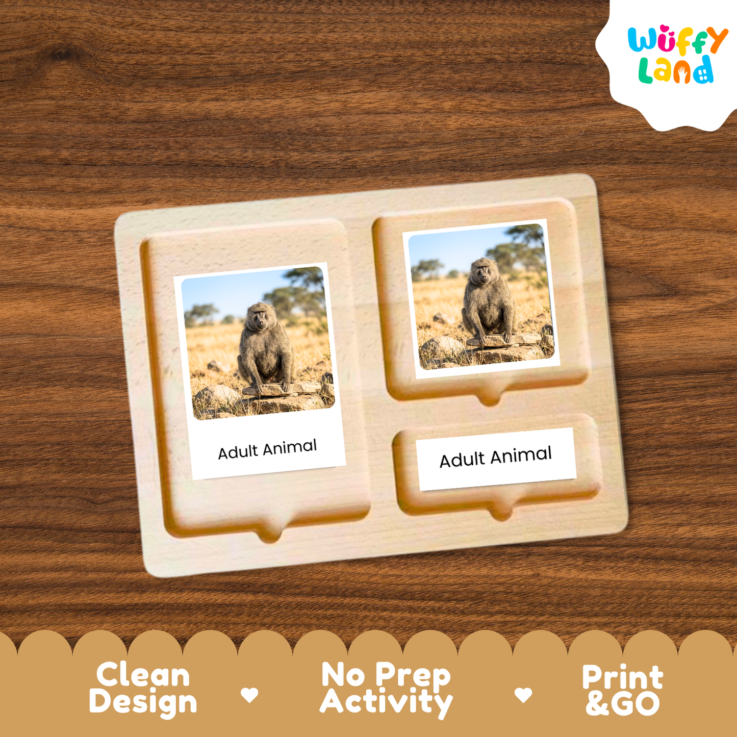 Baboon Life Cycle Flashcards | Montessori 3 Part Cards Mammal Activity