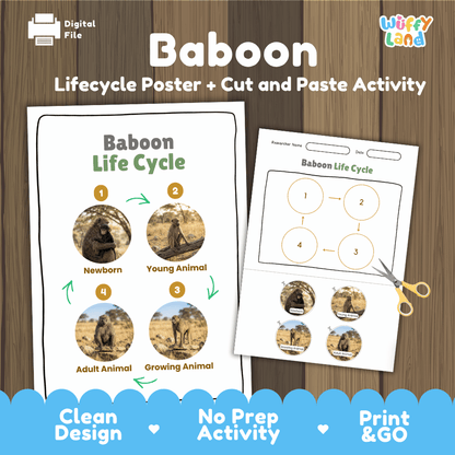 Baboon Life Cycle Poster and Cut and Paste Activity Worksheets