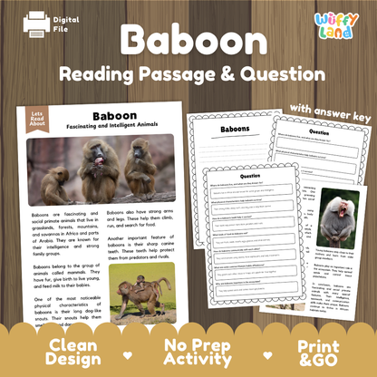Baboon Reading Passage and Comprehension Questions with Answer Key Worksheets