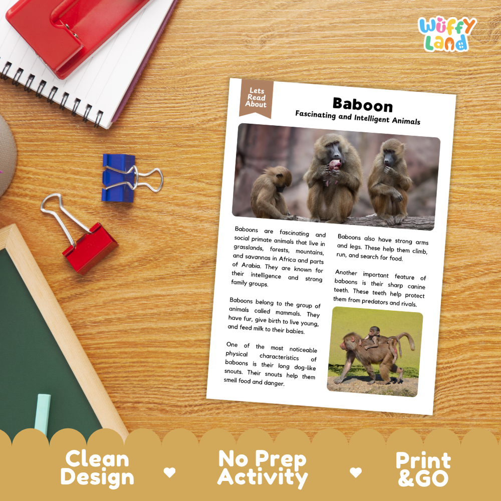 An educational activity sheet titled 'Baboon Fascinating and Intelligent Animals' displayed on a wooden desk with school supplies. The sheet features text and photos of baboons.