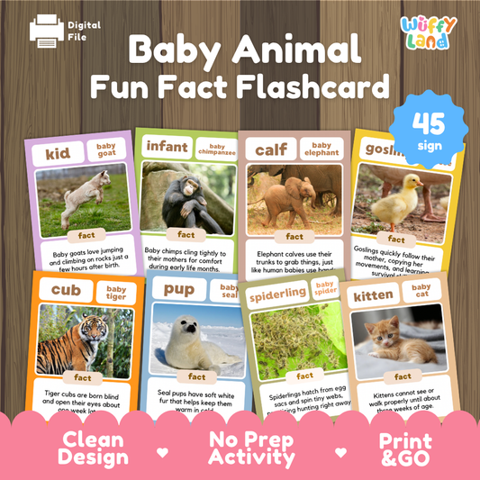 Baby animal fun fact flashcards printable science activity pack overview from Wuffy Land featuring 45 educational cards