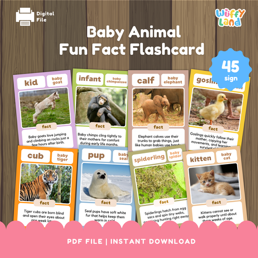 Flashcards featuring fun facts about baby animals, including kid (baby goat), infant chimpanzee, calf (baby elephant), gosling, cub (baby tiger), pup (baby seal), spiderling (baby spider), and kitten, each with a real photo and a short educational fact