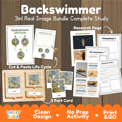 Backswimmer 3-in-1 real image bundle complete study cover showing cut and paste life cycle, 3 part cards, and research pages