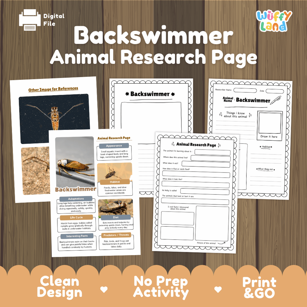 Backswimmer Animal Research Page and Worksheets