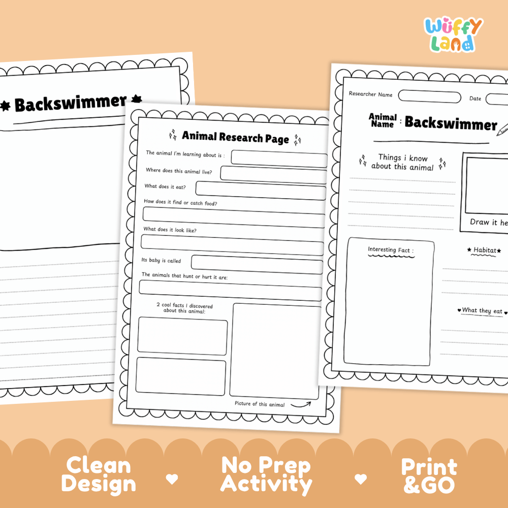Backswimmer Animal Research Page and Worksheets