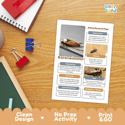 Backswimmer Animal Research Page and Worksheets