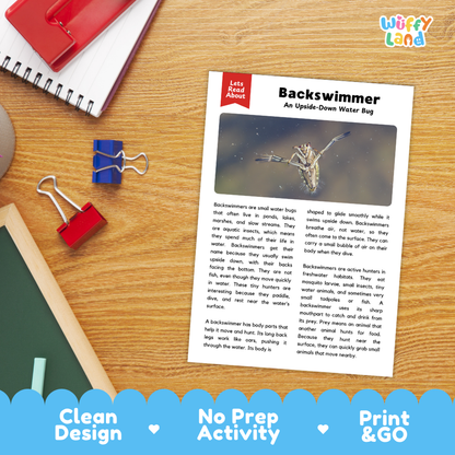 Backswimmer Reading Passage and Comprehension Questions with Answer Key