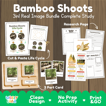 Bamboo shoots 3in1 real image bundle complete study printable featuring life cycle cut and paste worksheets, Montessori 3-part cards, and research pages
