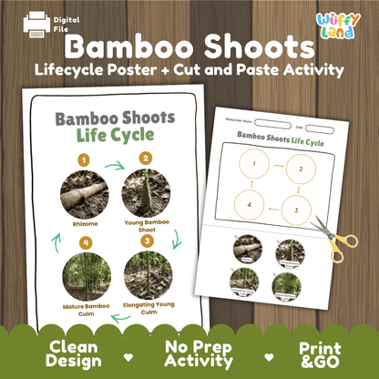 Bamboo shoots plant life cycle educational printable pack cover showing visual reference poster and cut and paste sequencing worksheet with real photography