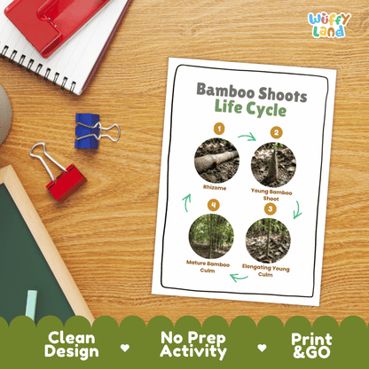 Hands-on cut and paste science worksheet for students to cut real photo tokens and sequence bamboo growth stages onto numbered circles
