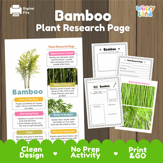 Bamboo Plant Research Page Worksheets and Graphic Organizers