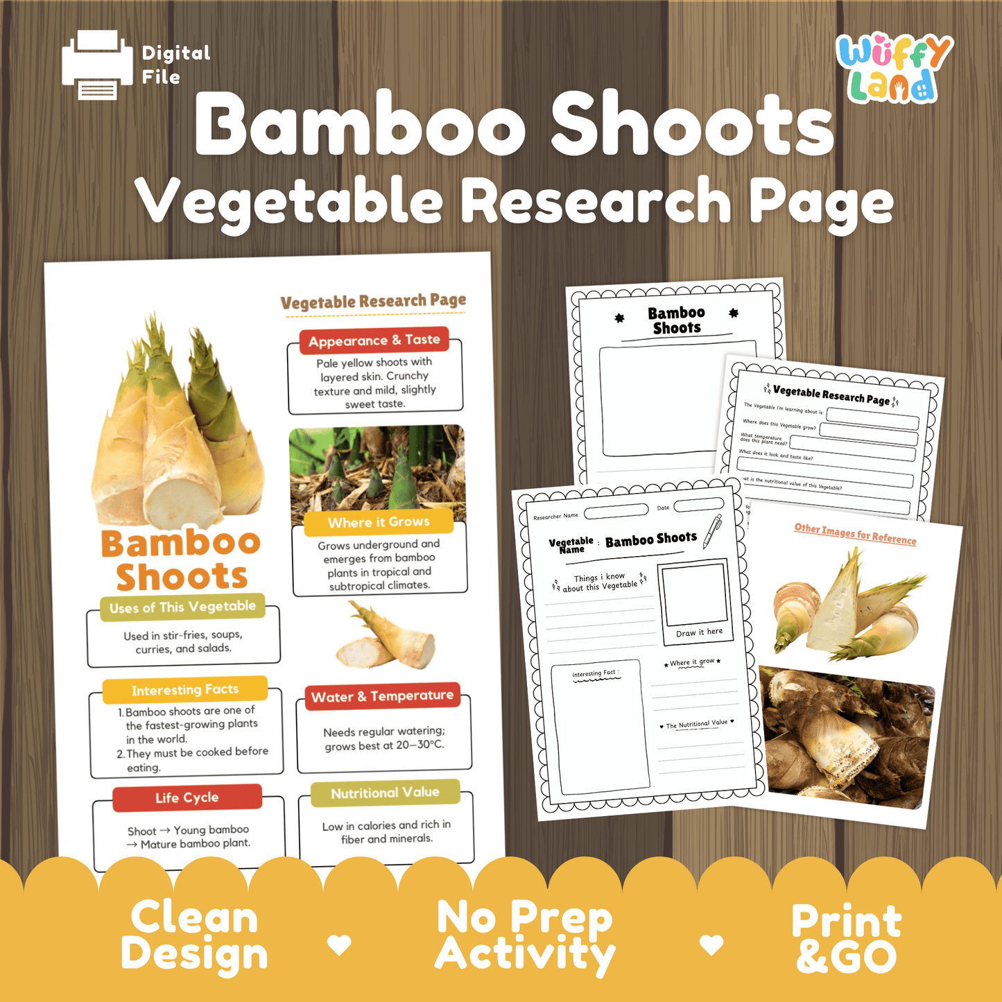 Bamboo Shoots Research Activity Worksheet Science Vegetable Asian Food Plant Cycle