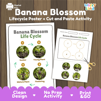 Banana blossom life cycle educational printable pack cover showing reference poster and cut and paste worksheet with real photography
