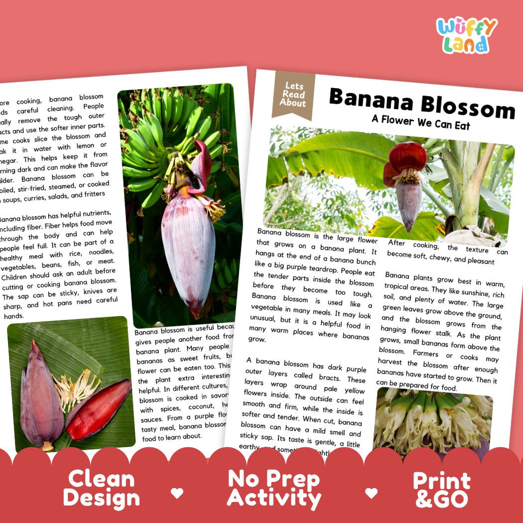Teacher answer key page showing complete question solutions for banana blossom reading comprehension practice