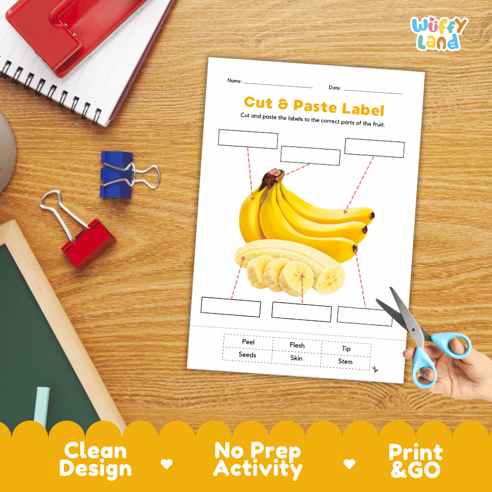 Printable plant biology worksheet showing sliced and whole ripe bananas with blank labeling boxes and a vocabulary word bank for writing practice