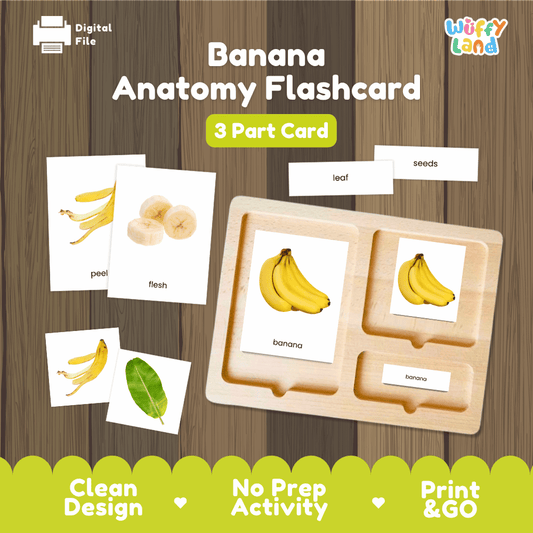Banana Fruit Anatomy Montessori 3-part cards printable botany activity pack overview from Wuffy Land arranged on wooden display tray 🍌🍃
