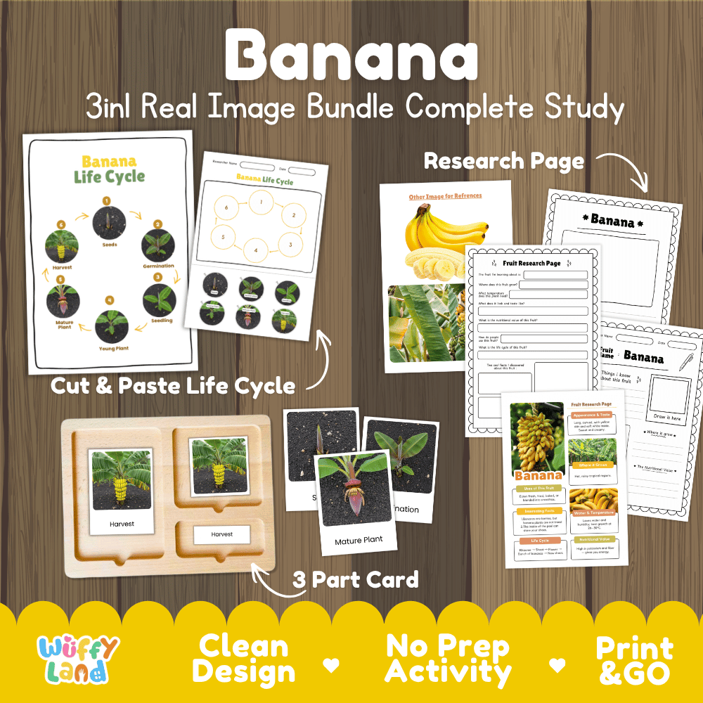 Banana plant life cycle 3in1 real image bundle complete study overview featuring cut and paste worksheets, Montessori 3-part cards, and research pages from Wuffy Land 🍌🌱