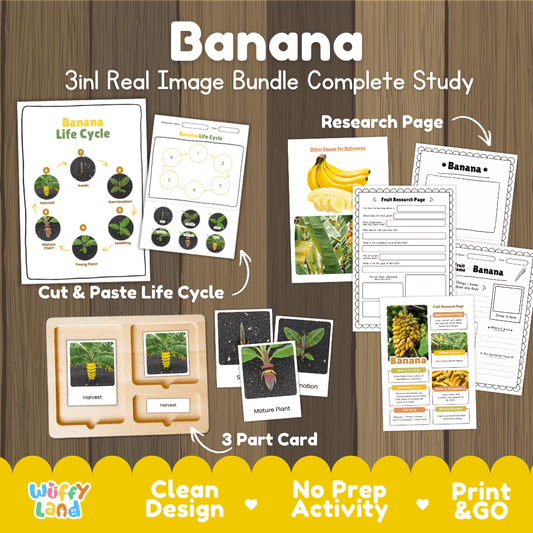 Banana plant life cycle 3in1 real image bundle complete study overview featuring cut and paste worksheets, Montessori 3-part cards, and research pages from Wuffy Land 🍌🌱
