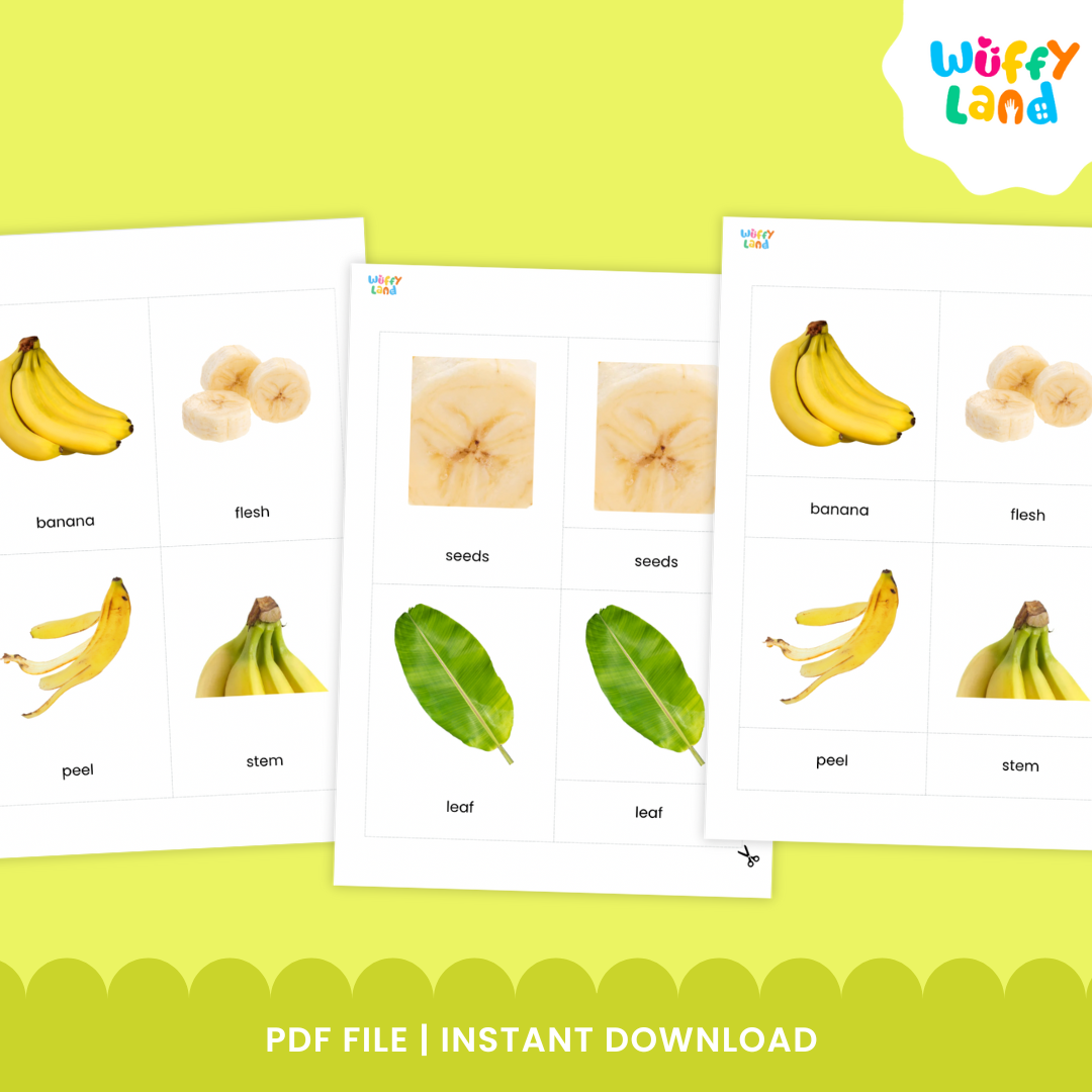 Banana anatomy flashcard set featuring realistic images of banana parts such as the whole banana, leaf, seeds, and flesh. Includes three part cards with matching labels and control cards for Montessori learning activities. Designed to help children identify and learn the different parts of a banana through hands-on matching and vocabulary practice.